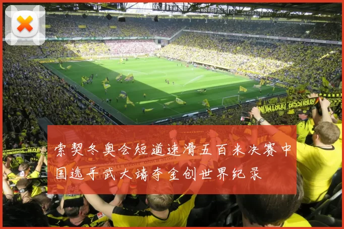 索契冬奥会短道速滑五百米决赛中国选手武大靖夺金创世界纪录