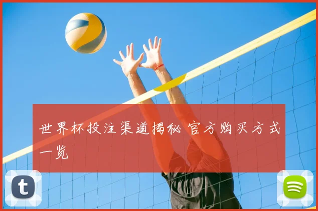 世界杯投注渠道揭秘 官方购买方式一览