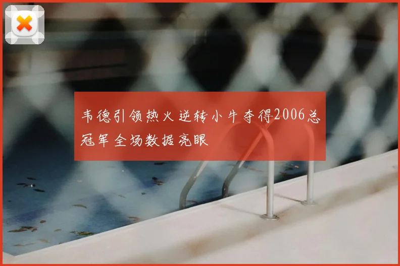 韦德引领热火逆转小牛夺得2006总冠军全场数据亮眼