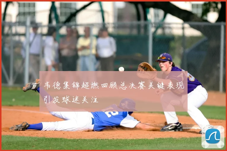 韦德集锦超燃回顾总决赛关键表现引发球迷关注