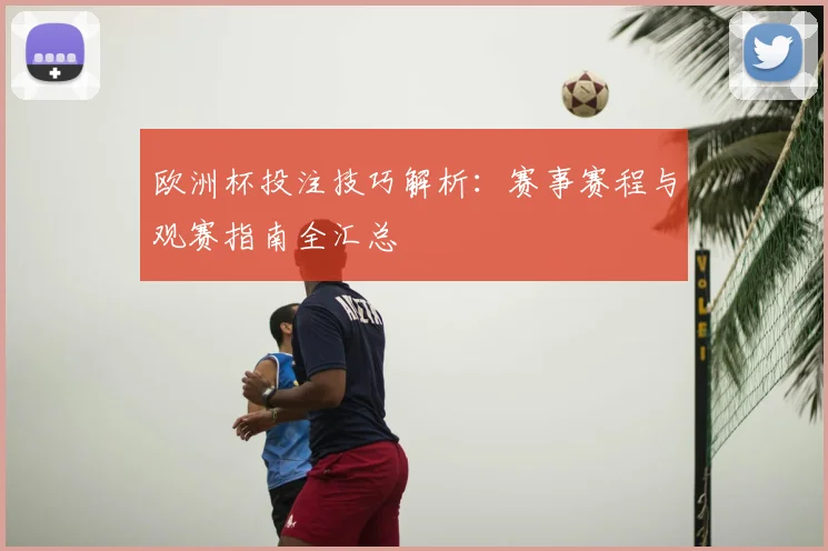 欧洲杯投注技巧解析：赛事赛程与观赛指南全汇总