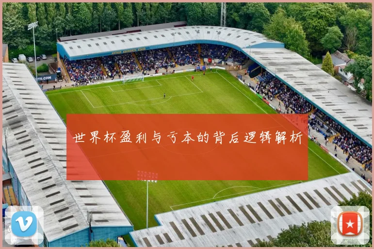 世界杯盈利与亏本的背后逻辑解析