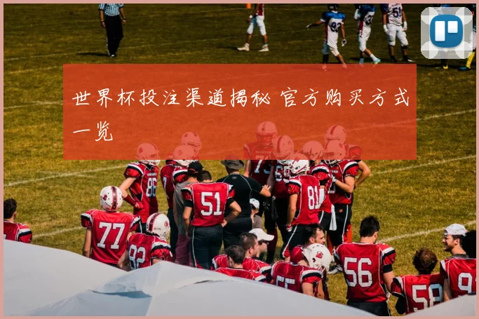 世界杯投注渠道揭秘 官方购买方式一览