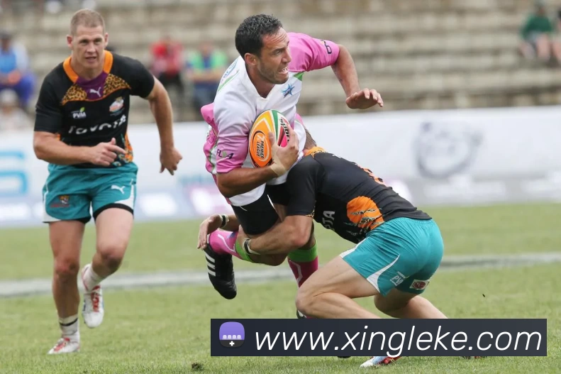 多媒体互动体验